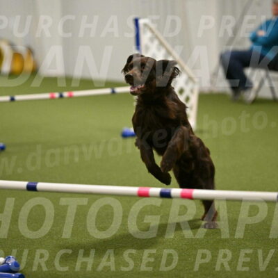 Gus-Jessica-Kotuba-09886