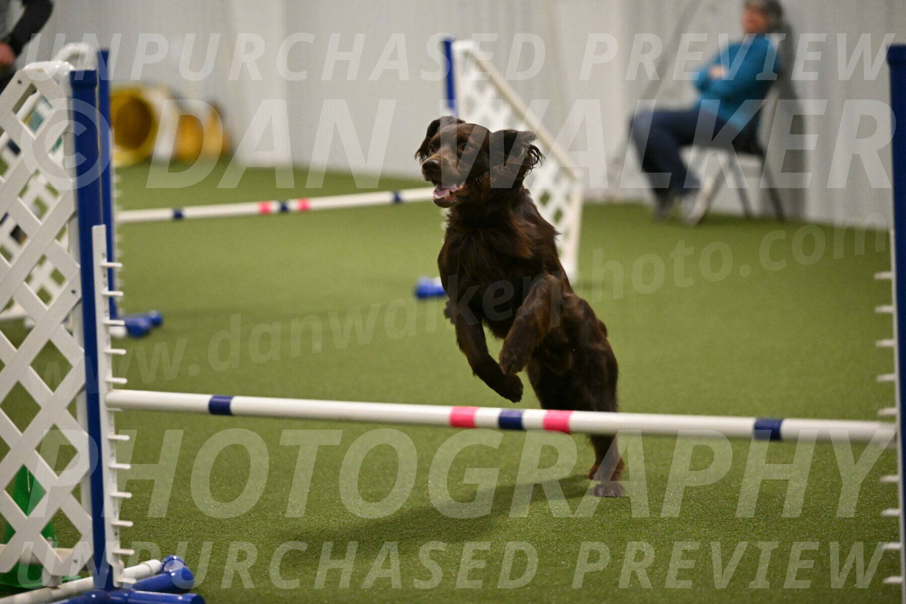 Gus-Jessica-Kotuba-09886