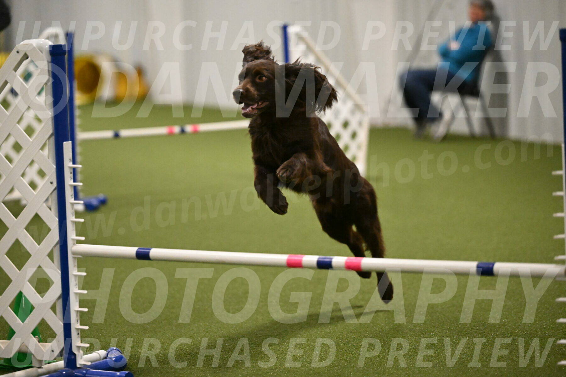 Gus-Jessica-Kotuba-09887