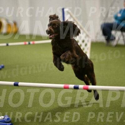 Gus-Jessica-Kotuba-09887