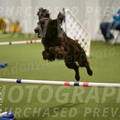 Gus-Jessica-Kotuba-09888