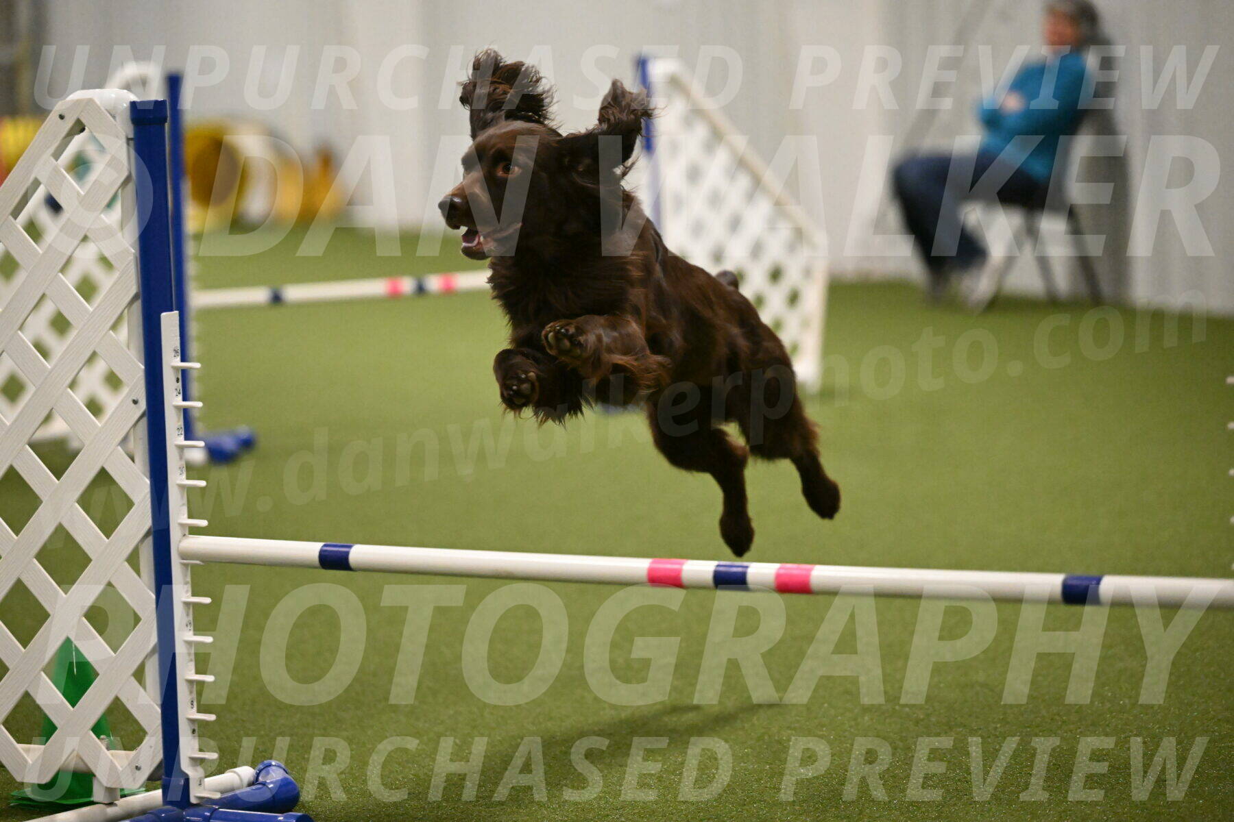 Gus-Jessica-Kotuba-09888