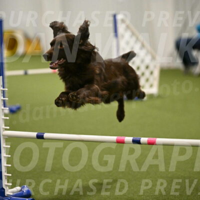 Gus-Jessica-Kotuba-09889