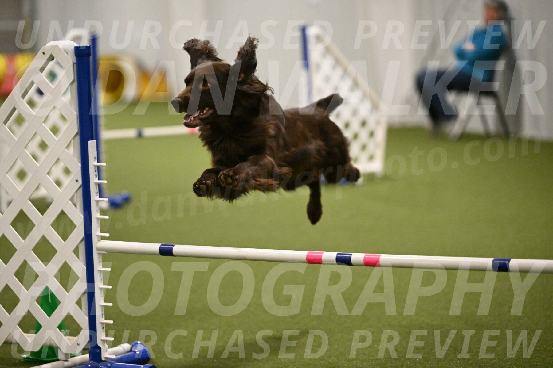 Gus-Jessica-Kotuba-09889