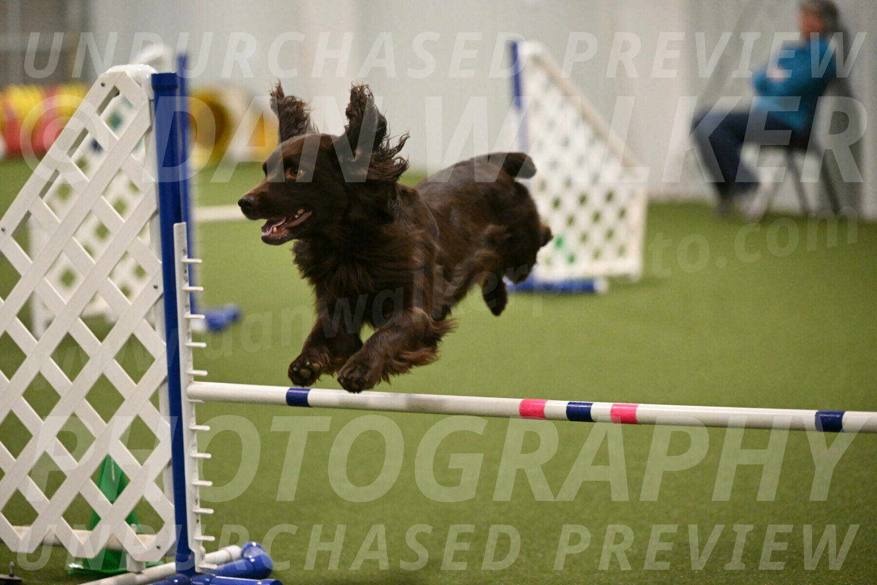 Gus-Jessica-Kotuba-09890