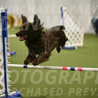 Gus-Jessica-Kotuba-09890