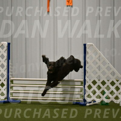 Gus-Jessica-Kotuba-09891