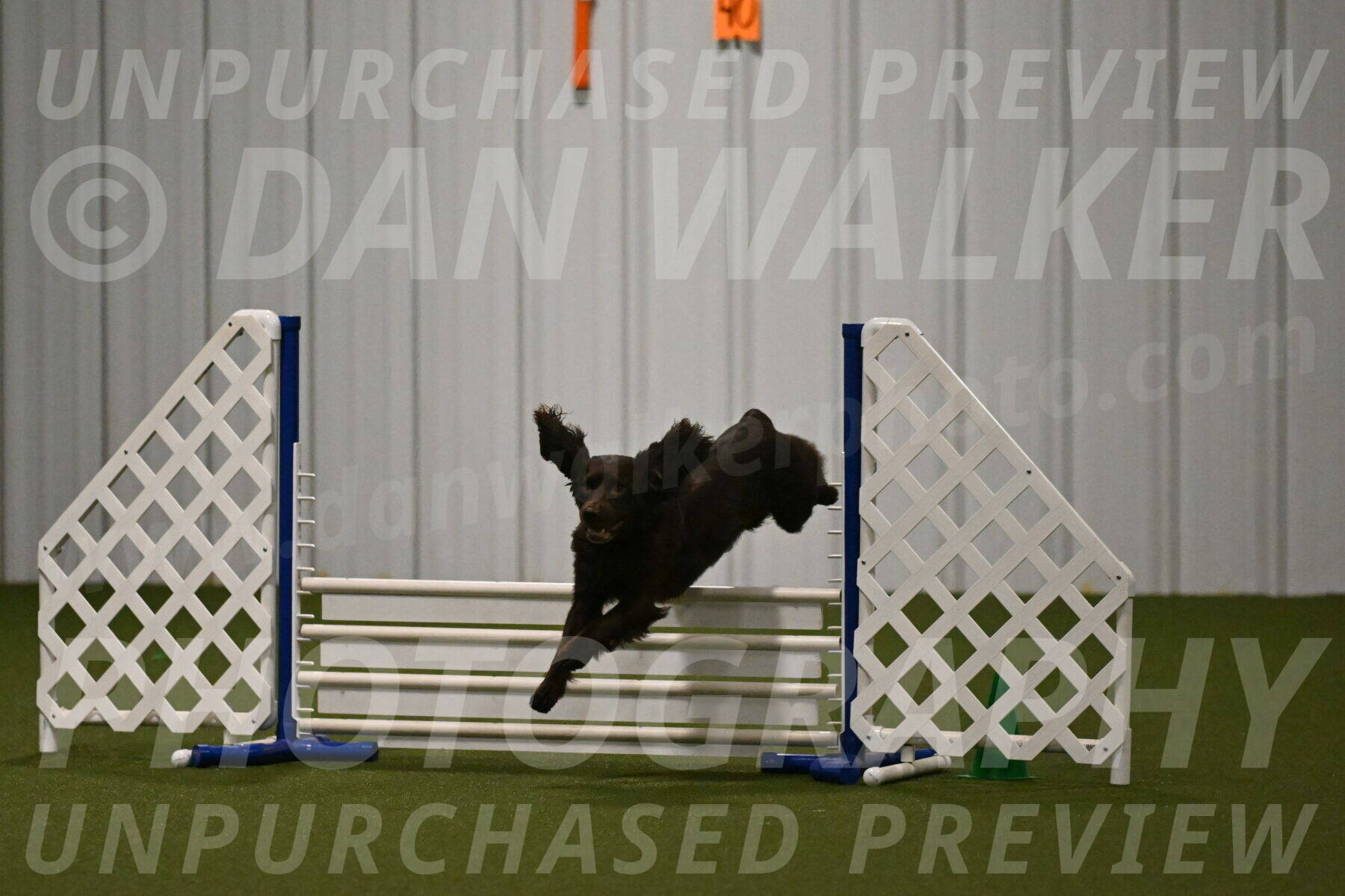 Gus-Jessica-Kotuba-09891