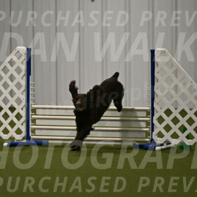 Gus-Jessica-Kotuba-09892