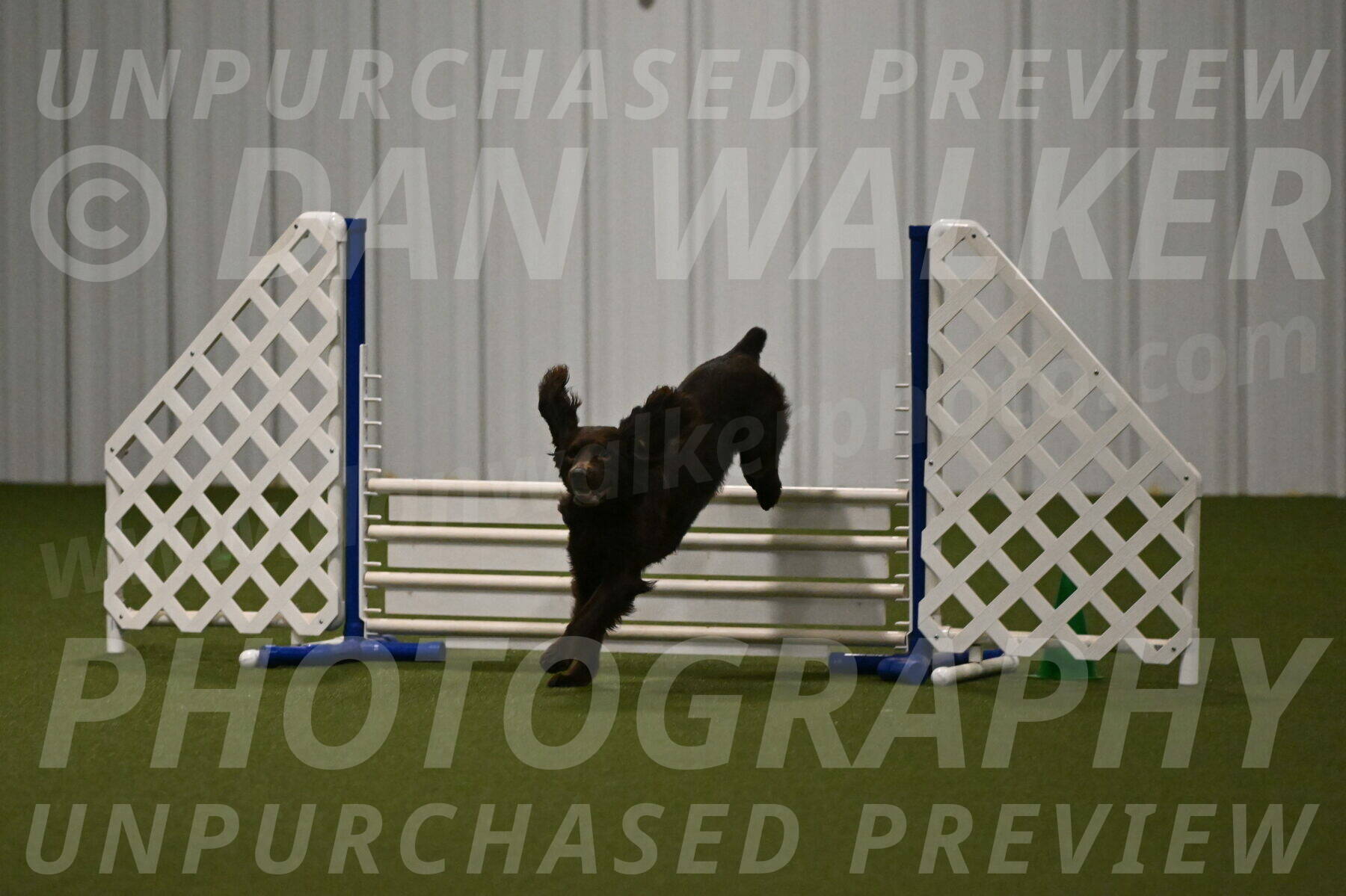 Gus-Jessica-Kotuba-09892