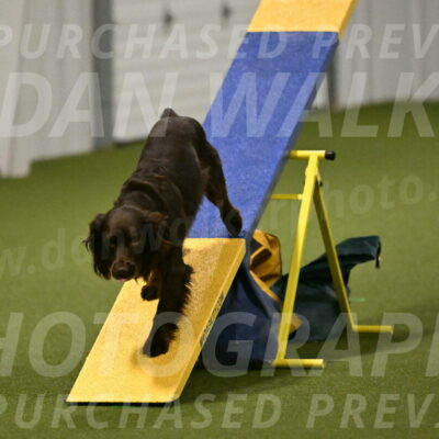 Gus-Jessica-Kotuba-09893