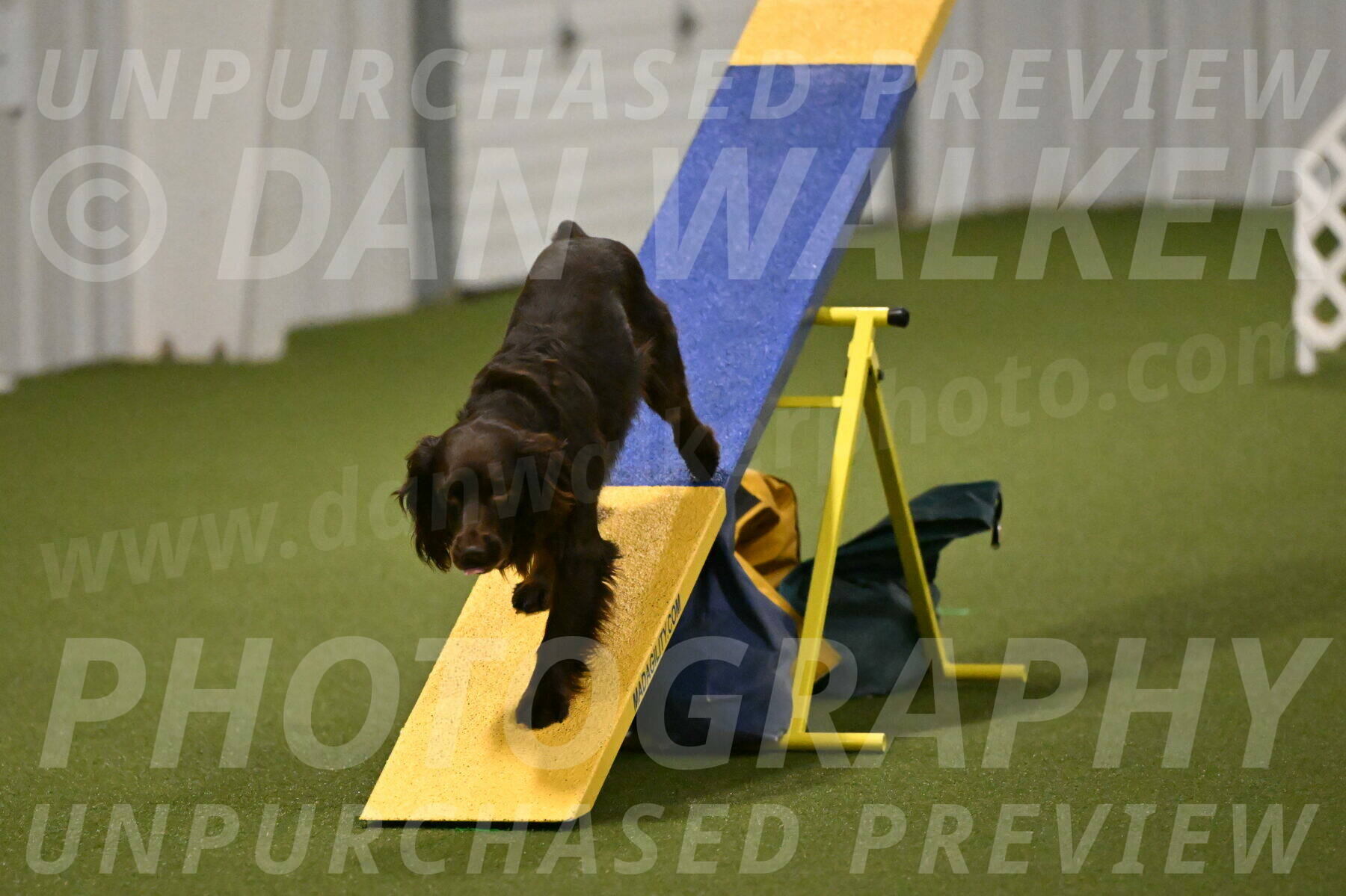 Gus-Jessica-Kotuba-09893