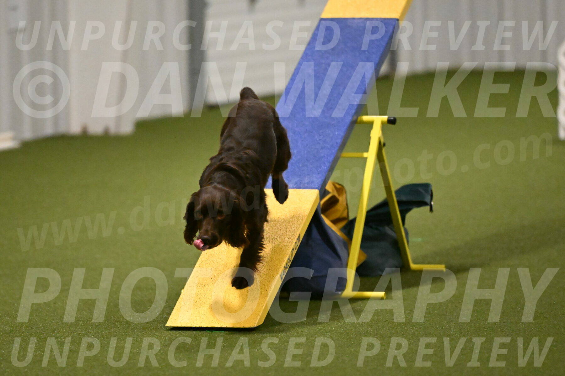 Gus-Jessica-Kotuba-09894