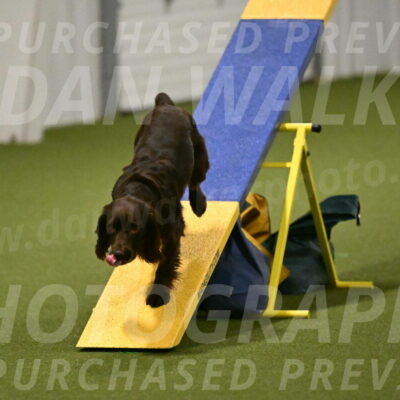 Gus-Jessica-Kotuba-09894