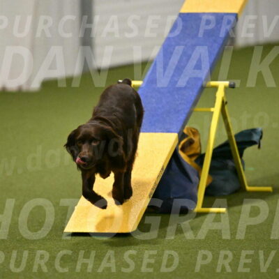 Gus-Jessica-Kotuba-09895