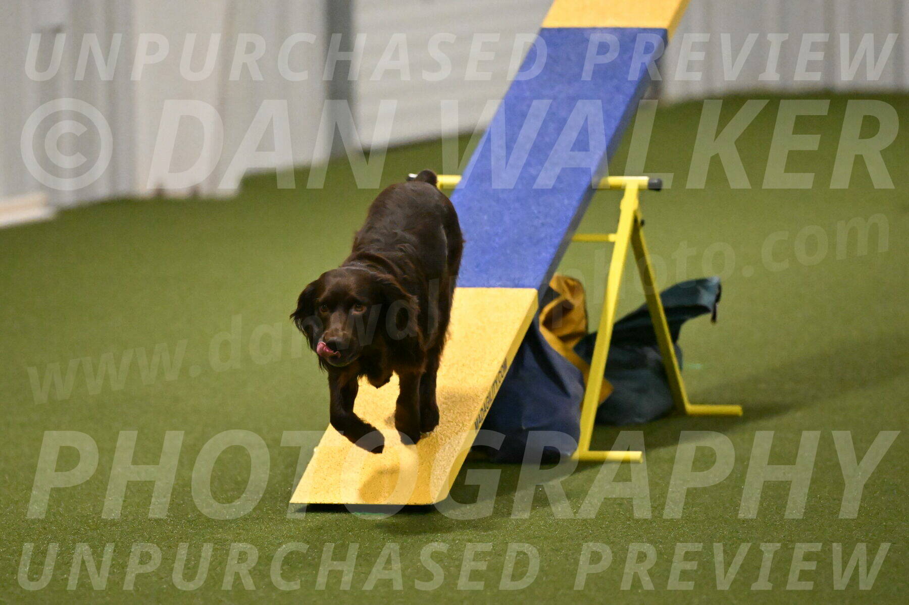 Gus-Jessica-Kotuba-09895