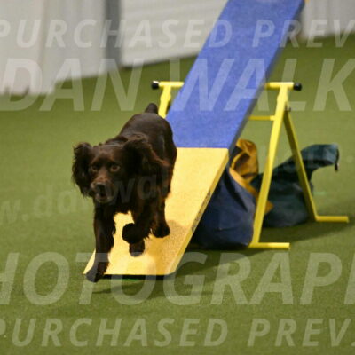 Gus-Jessica-Kotuba-09896