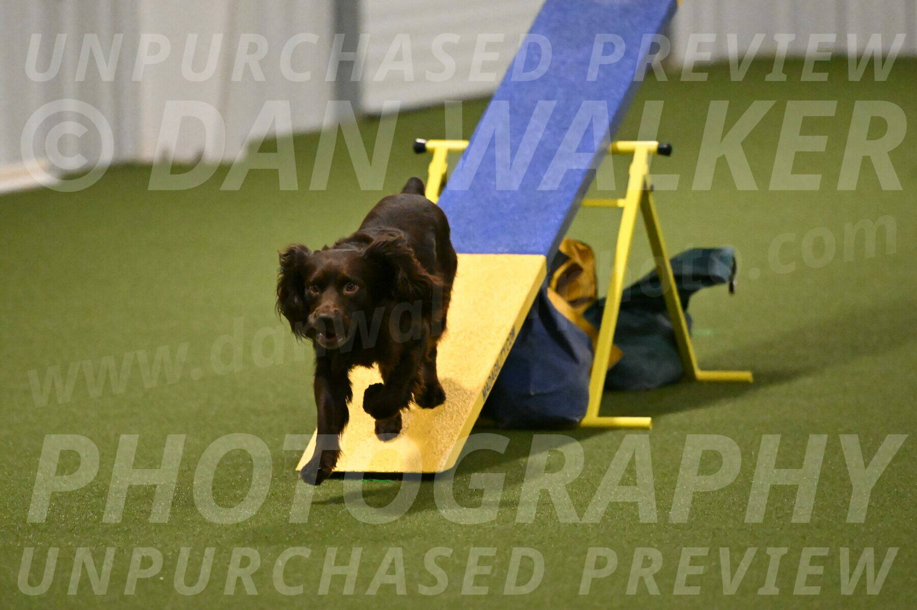 Gus-Jessica-Kotuba-09896