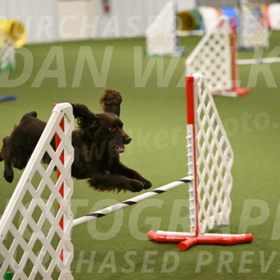 Gus-Jessica-Kotuba-09897