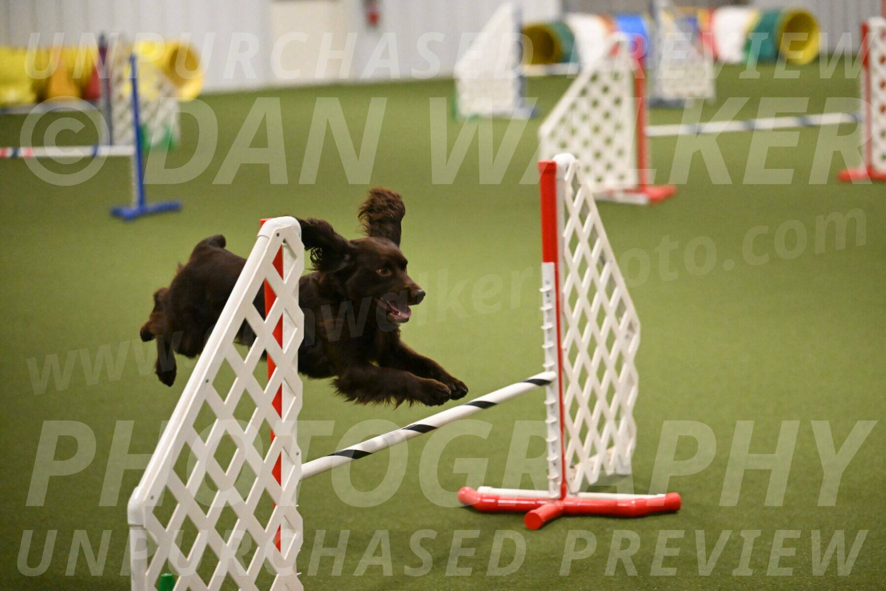 Gus-Jessica-Kotuba-09897