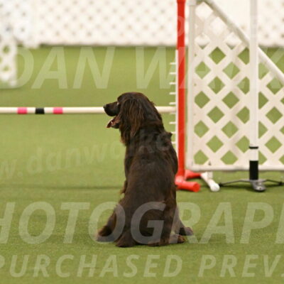 Gus-Jessica-Kotuba-09898