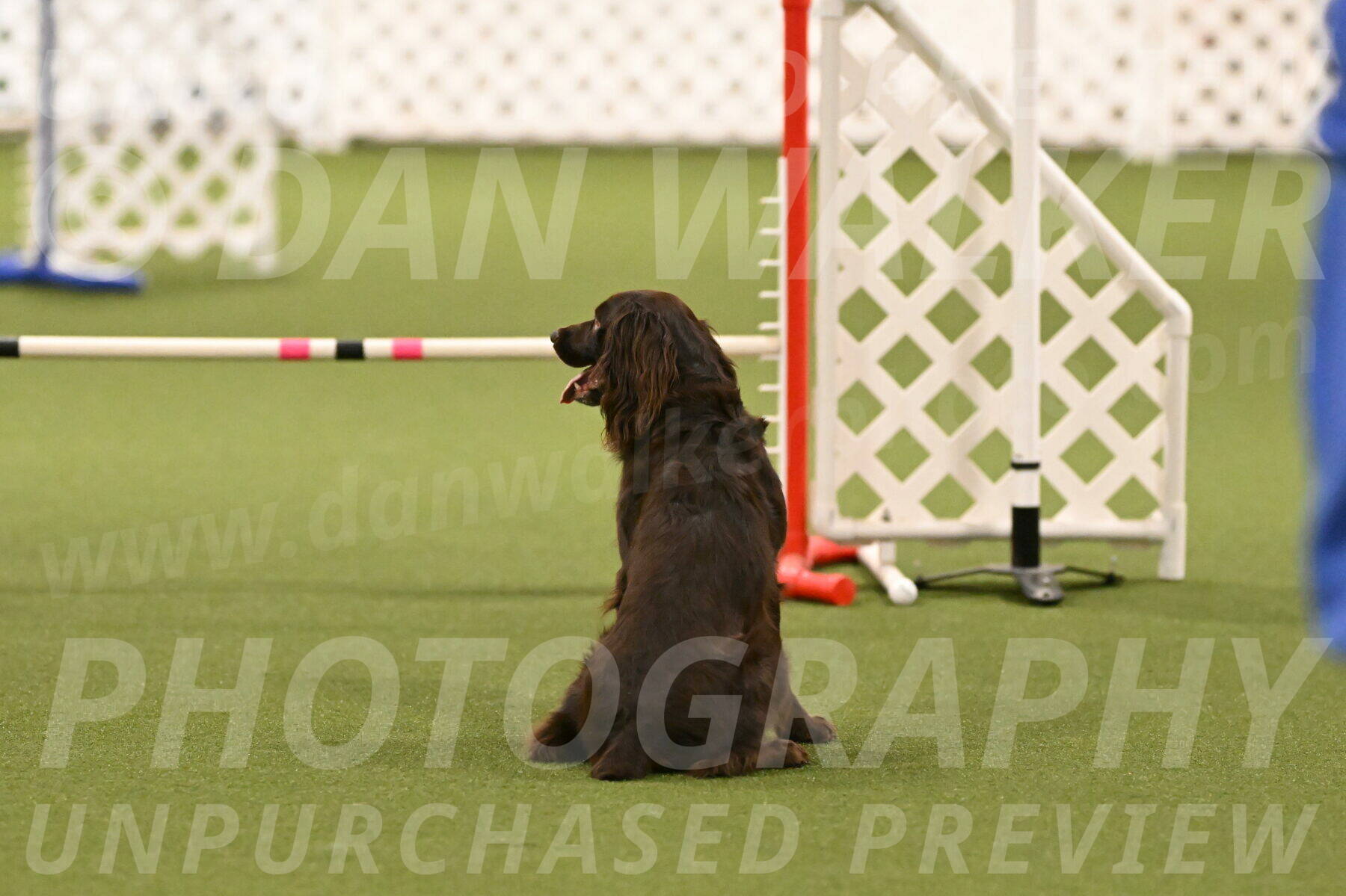 Gus-Jessica-Kotuba-09898