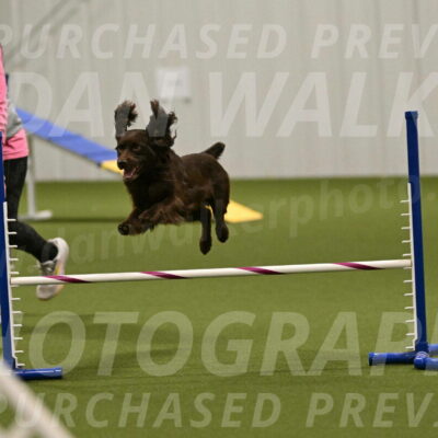 Gus-Jessica-Kotuba-09899