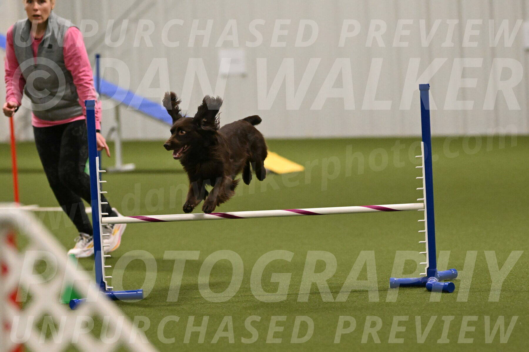 Gus-Jessica-Kotuba-09900