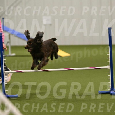 Gus-Jessica-Kotuba-09900