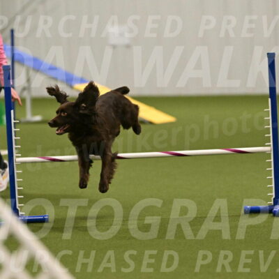 Gus-Jessica-Kotuba-09901