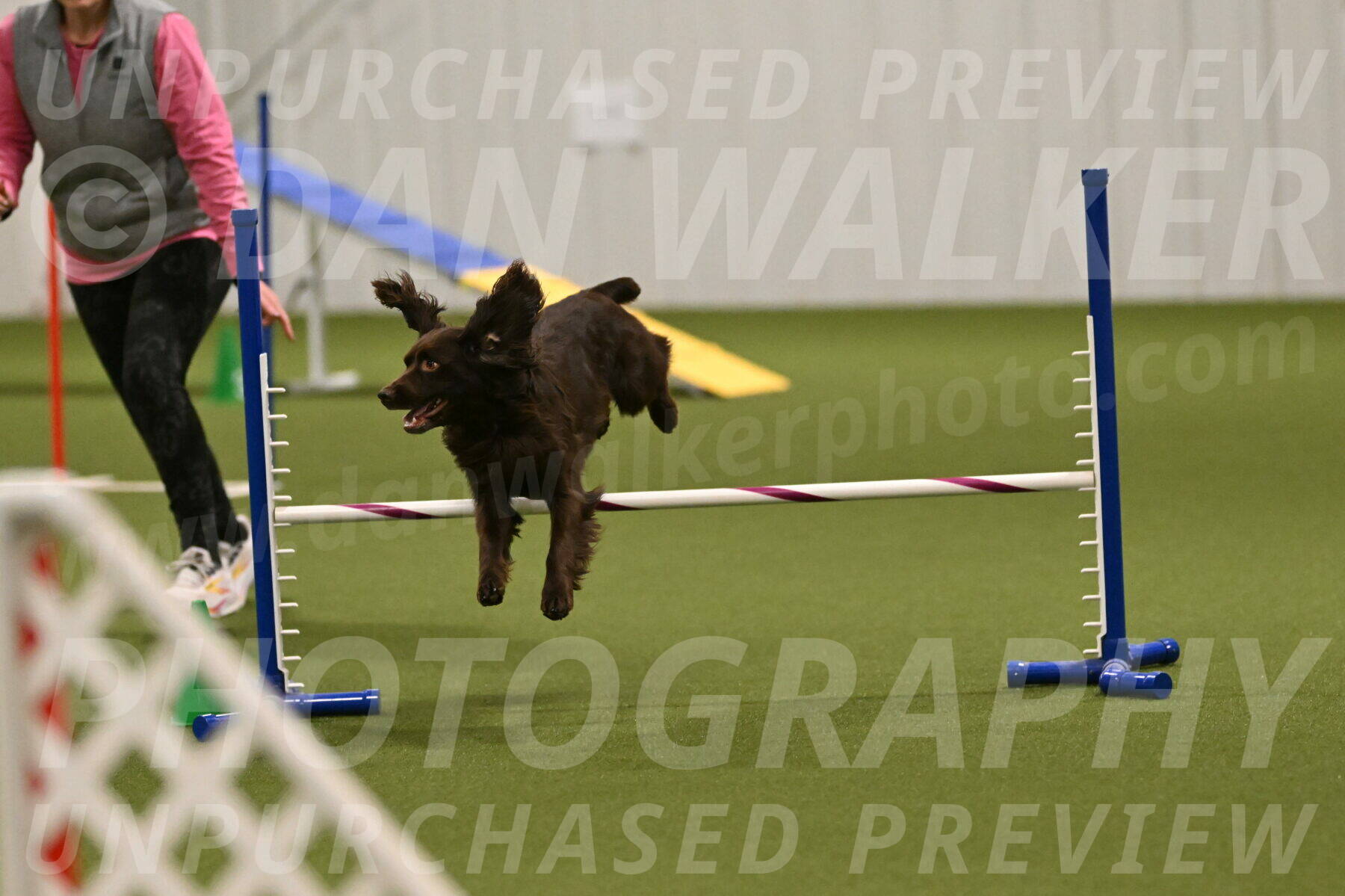 Gus-Jessica-Kotuba-09901