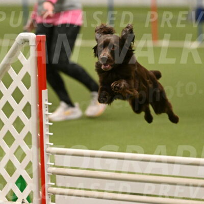 Gus-Jessica-Kotuba-09902