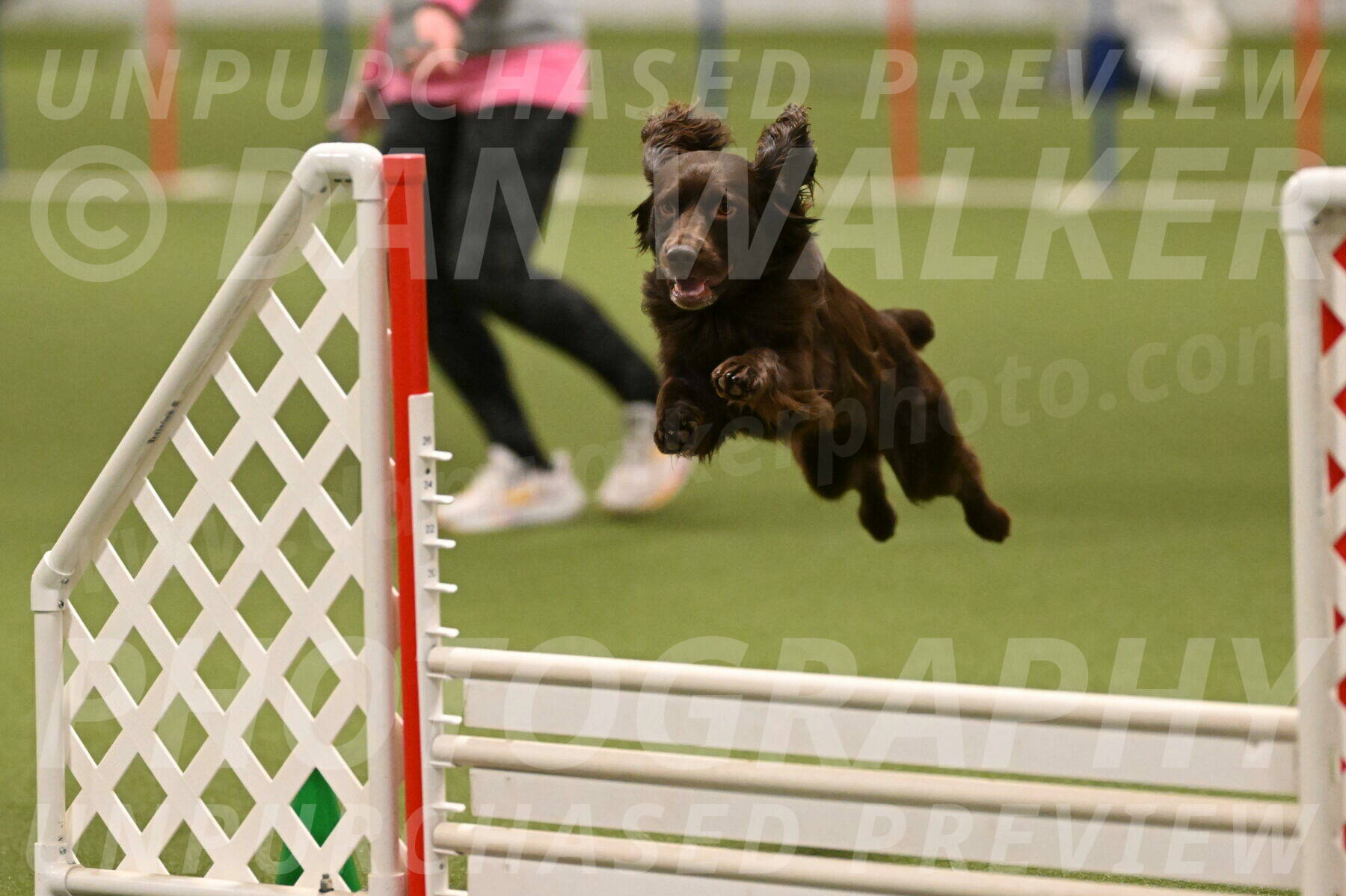 Gus-Jessica-Kotuba-09902