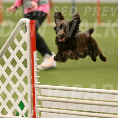 Gus-Jessica-Kotuba-09903