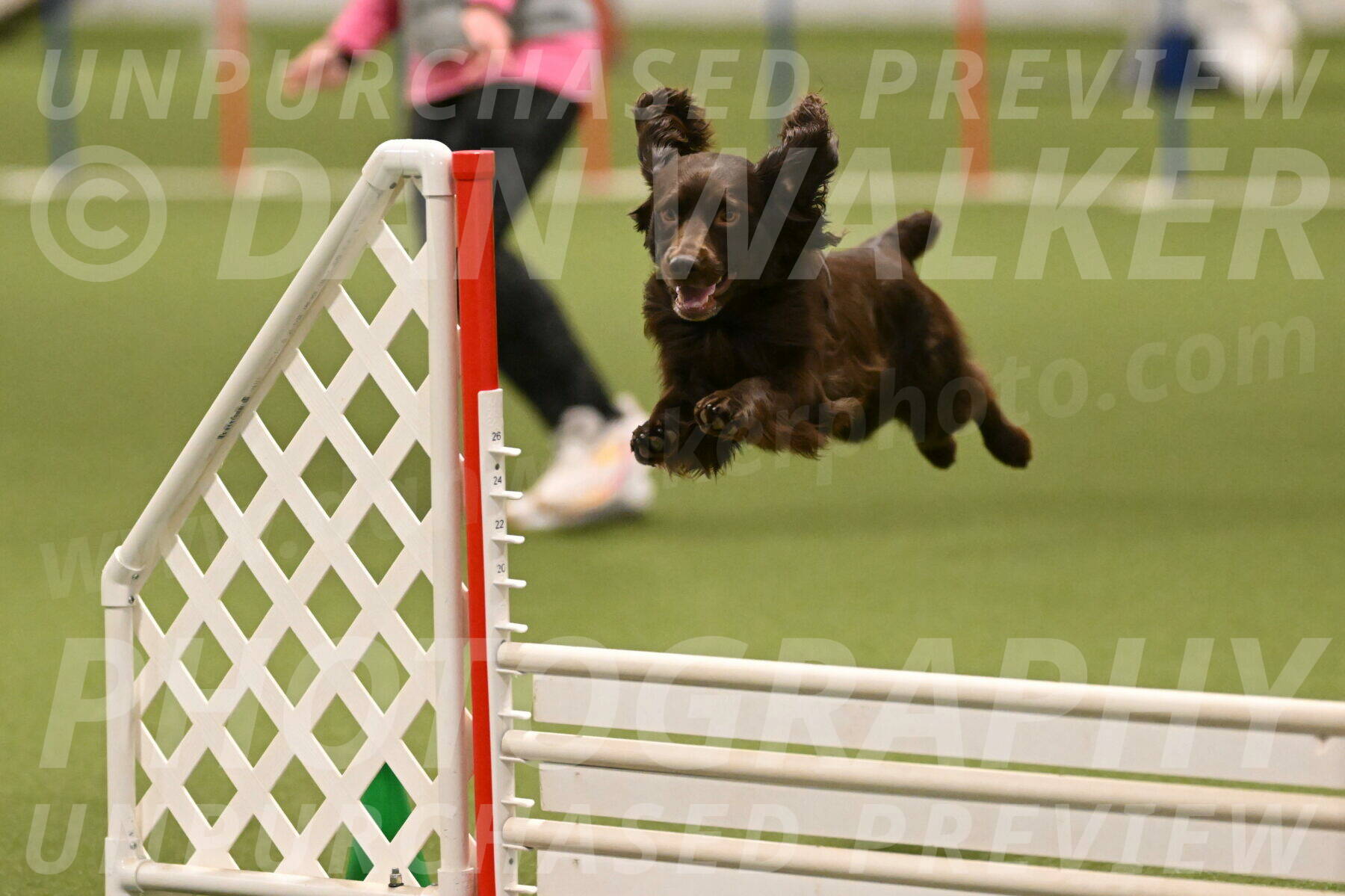 Gus-Jessica-Kotuba-09903