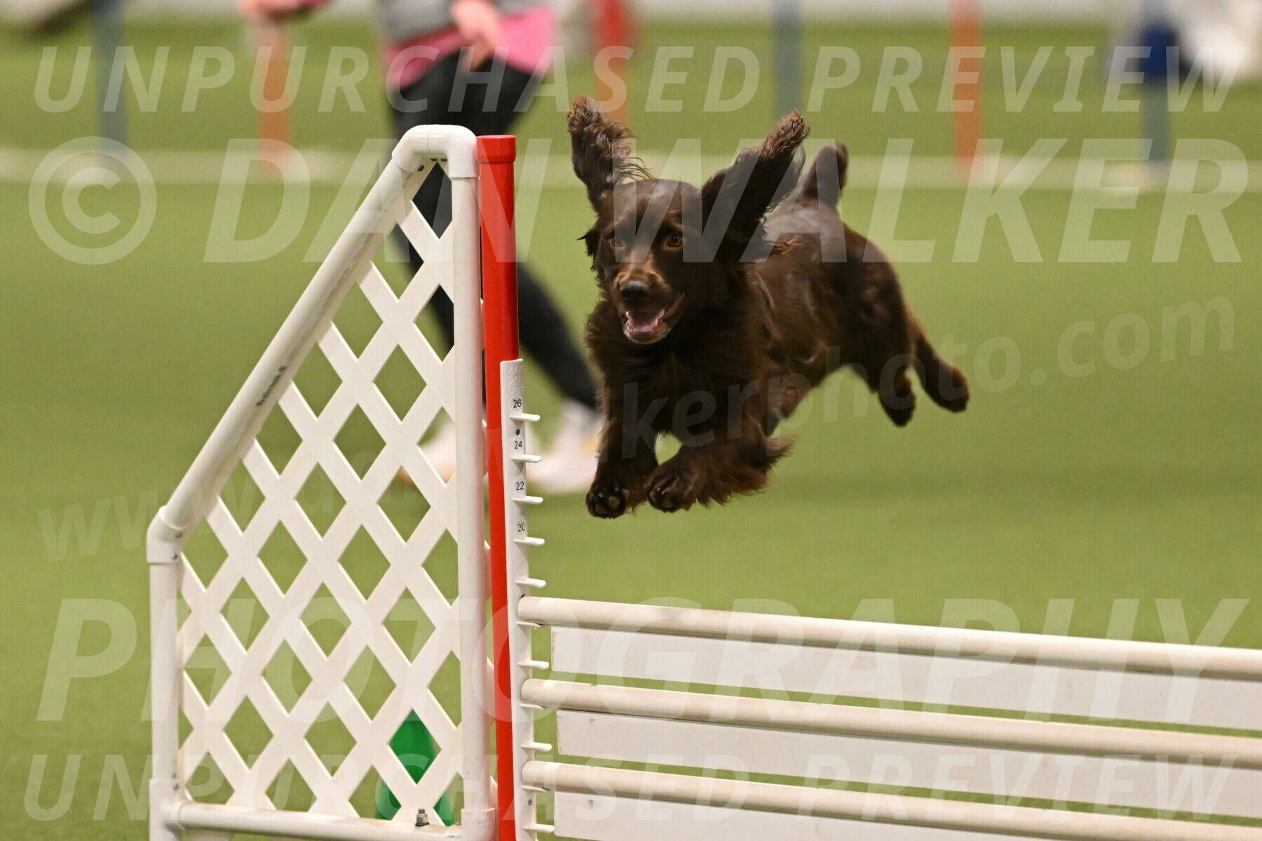 Gus-Jessica-Kotuba-09904