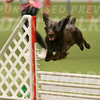 Gus-Jessica-Kotuba-09904