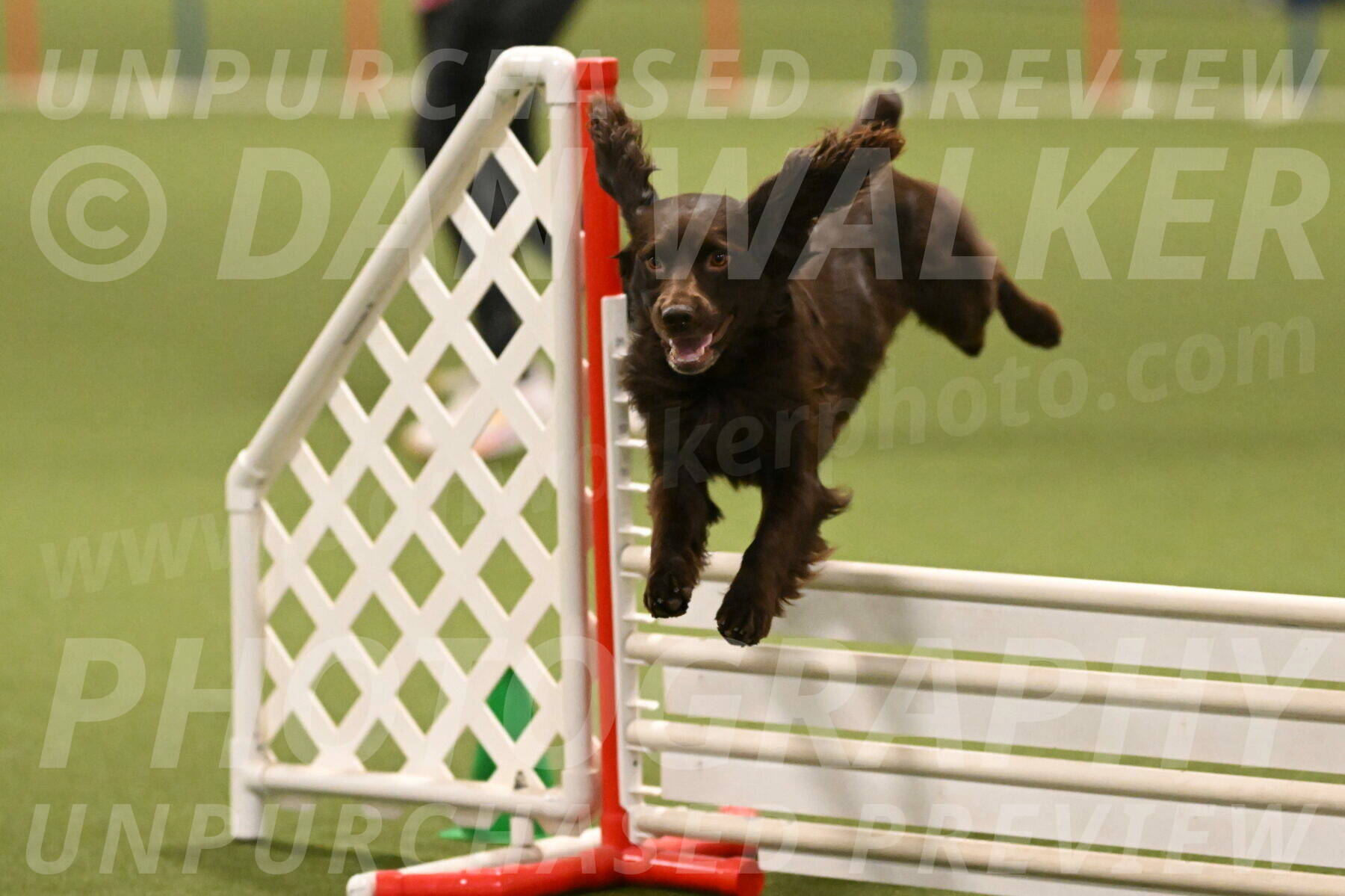 Gus-Jessica-Kotuba-09905