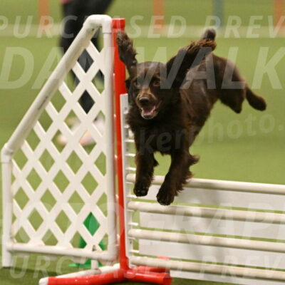 Gus-Jessica-Kotuba-09905