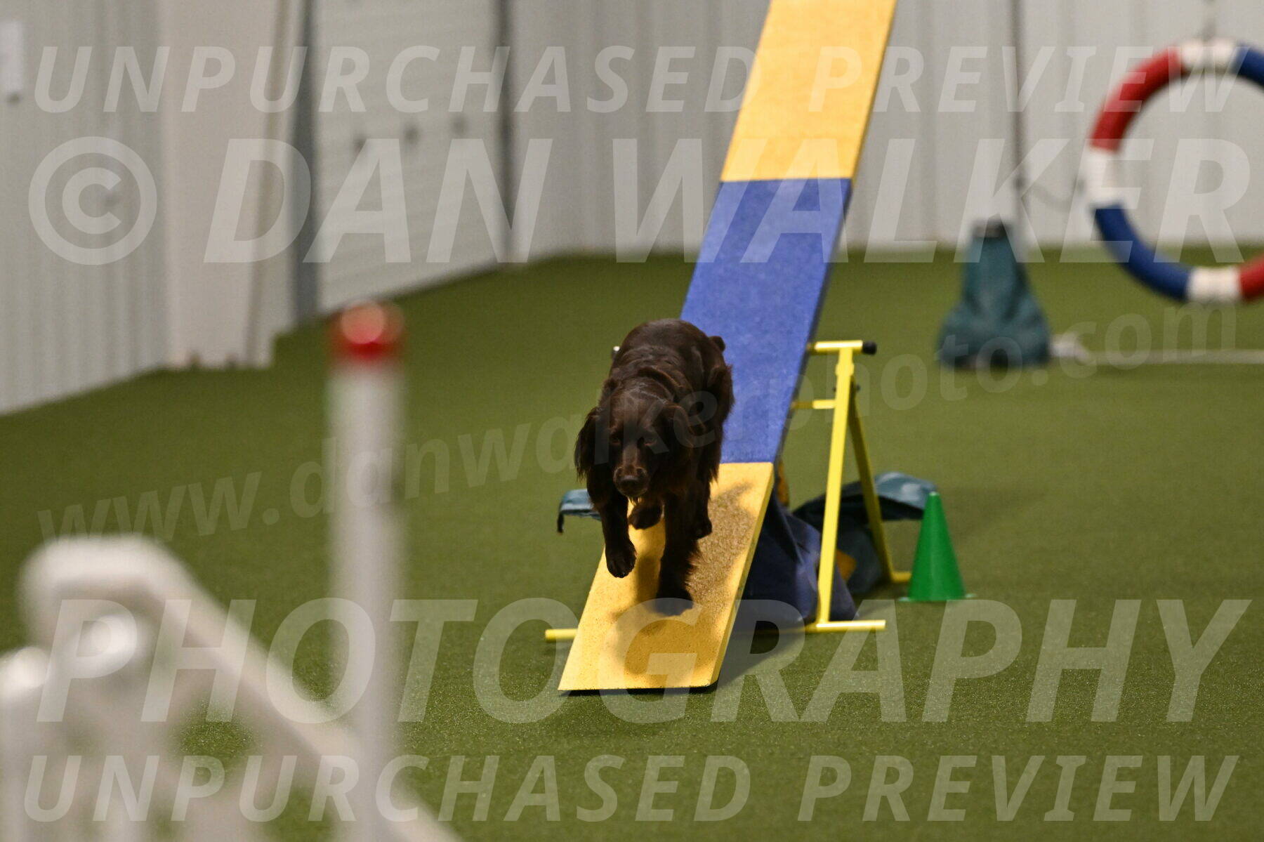 Gus-Jessica-Kotuba-09906