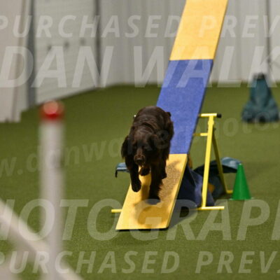 Gus-Jessica-Kotuba-09906