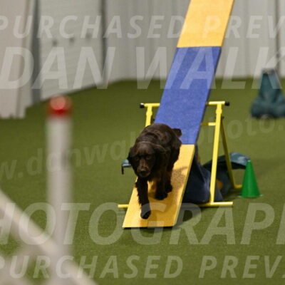 Gus-Jessica-Kotuba-09907