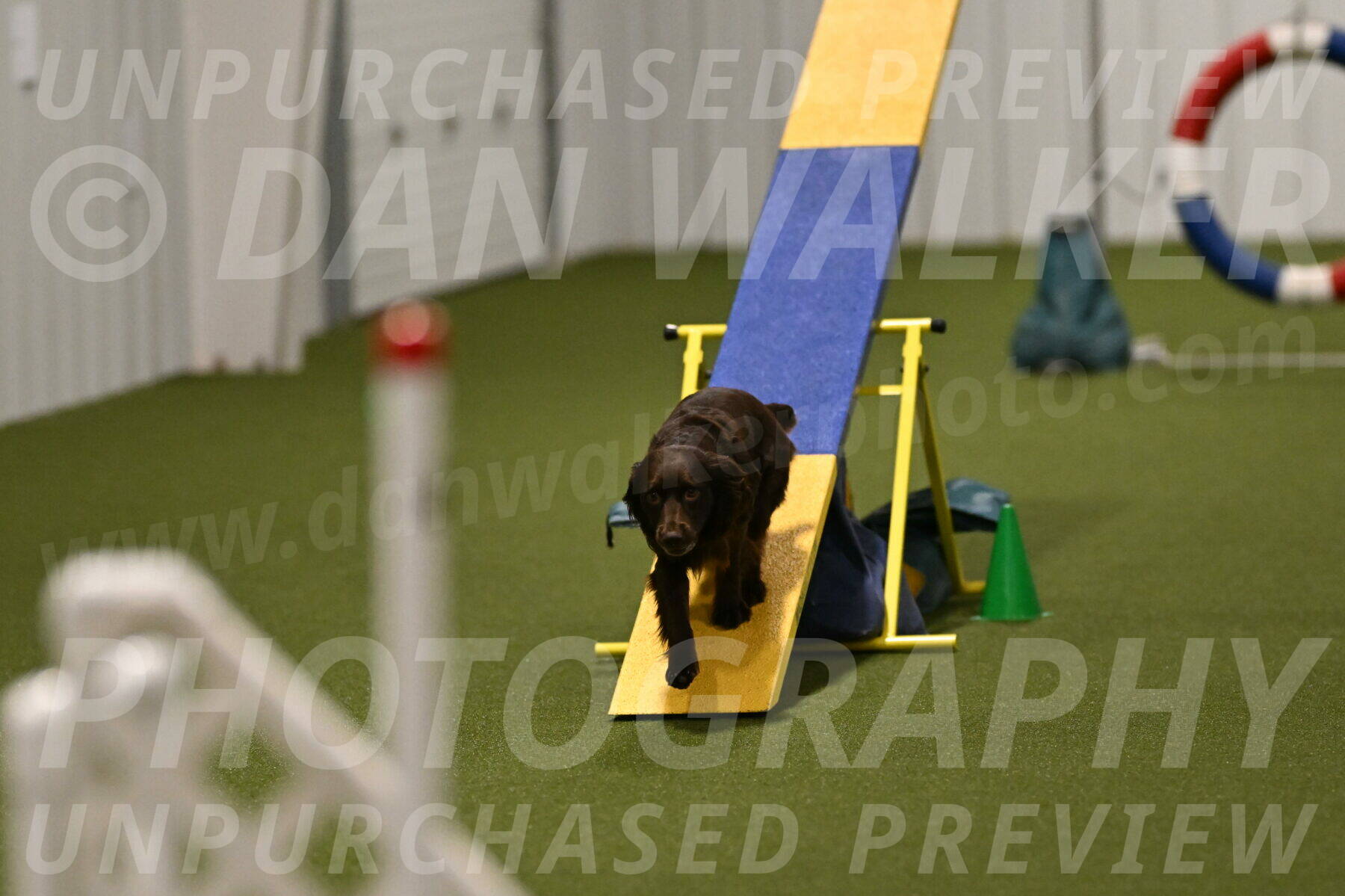 Gus-Jessica-Kotuba-09907