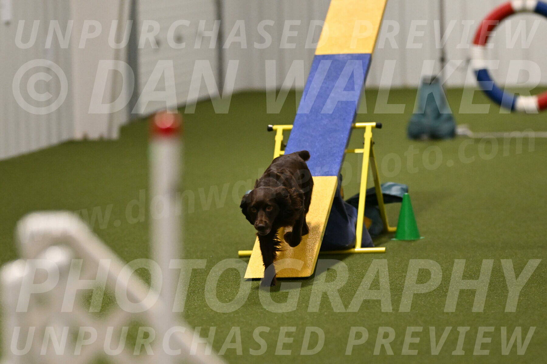 Gus-Jessica-Kotuba-09908