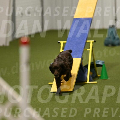 Gus-Jessica-Kotuba-09908