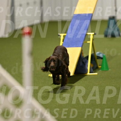 Gus-Jessica-Kotuba-09909