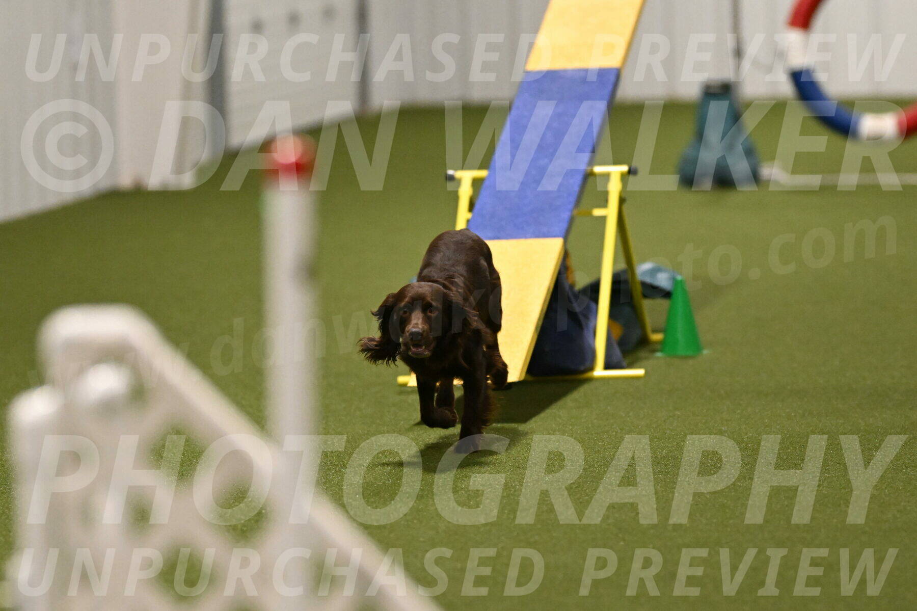 Gus-Jessica-Kotuba-09909