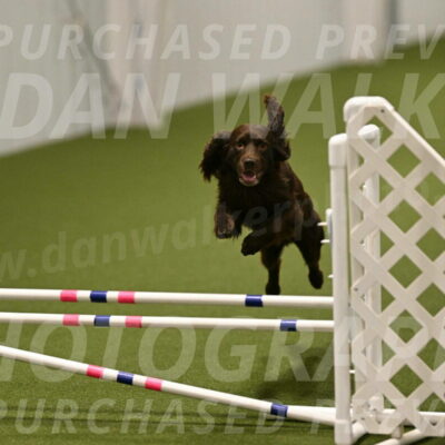 Gus-Jessica-Kotuba-09910