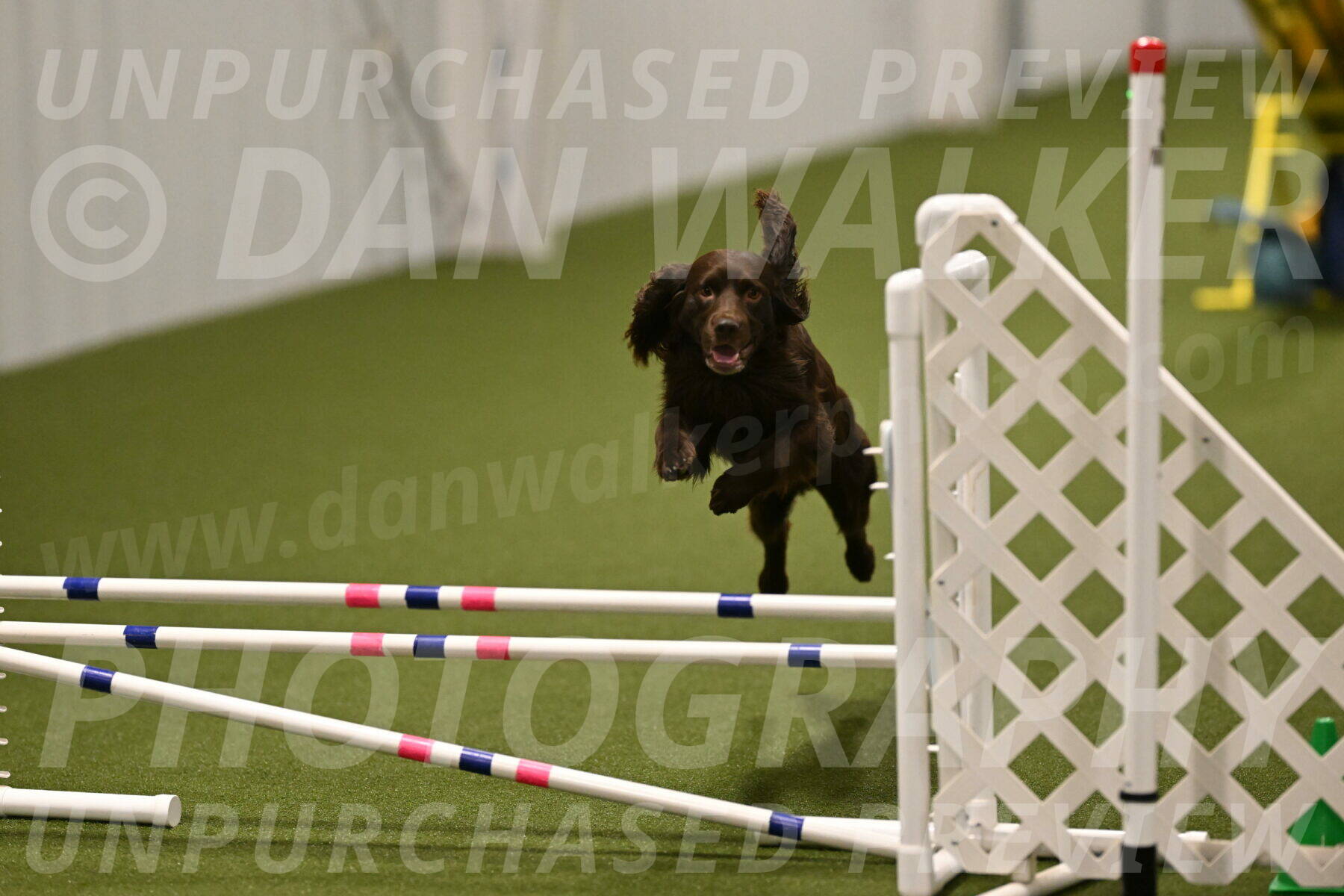 Gus-Jessica-Kotuba-09910