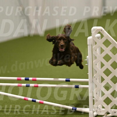 Gus-Jessica-Kotuba-09911